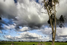 TK体育官网：斯卡洛尼：我们作为一个团队在进行比赛，成功压制了巴西.