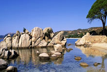 TK体育官网：阿申纳5比1横扫葡萄牙体育 平队史欧冠客场纪录.